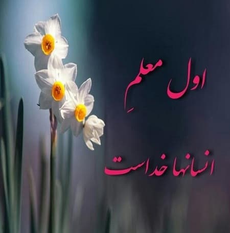 تصویر مقاله